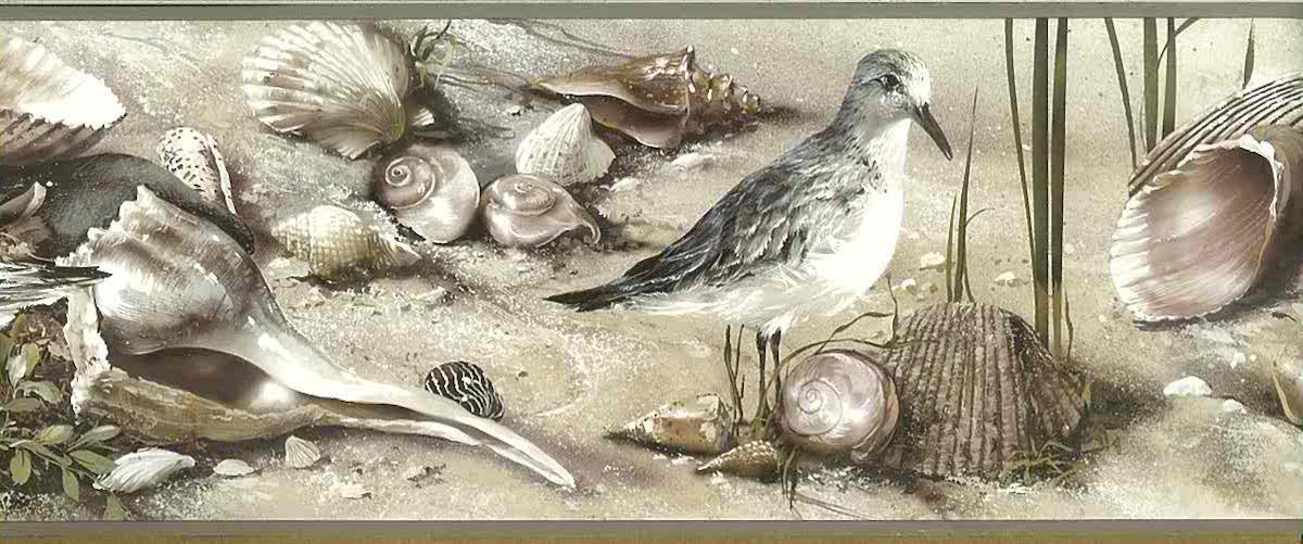 seashells wallpaper border, nautical, seabirds, sandpipers, seagulls, sand, beige, taupe, brown, cream