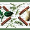 Herbs Vintage Wallpaper Border in green, brown and white