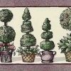 Topiaries Vintage Wallpaper Border in Cream, Rose, & Green