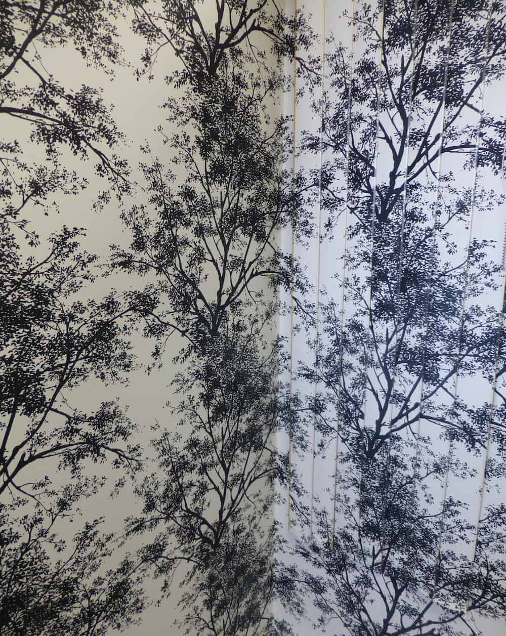 Tree Wallpaper, birch trees, black, white, vertical blinds