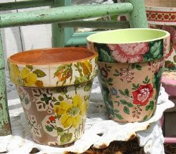 Wallpapered Flower Pots