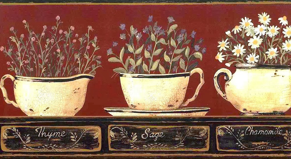 Herbs in Coffee Cups Wallpaper Border